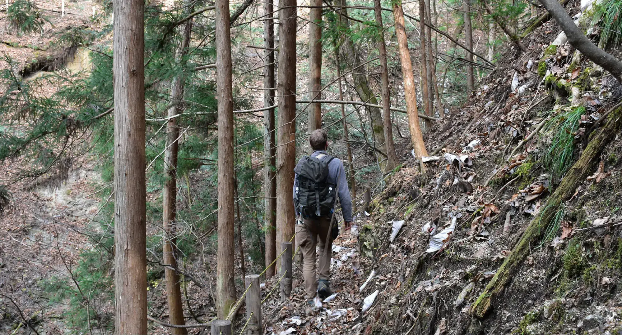 A man with a backpack walking through a steep forested slope