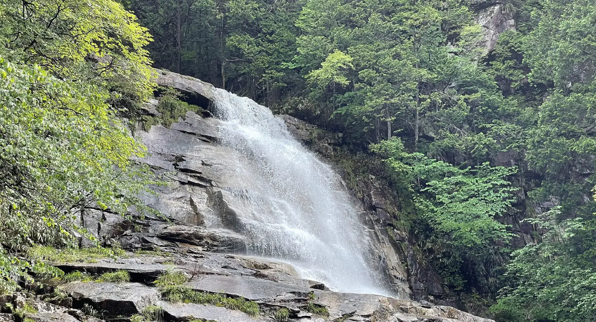 The scenery of a valley gorge