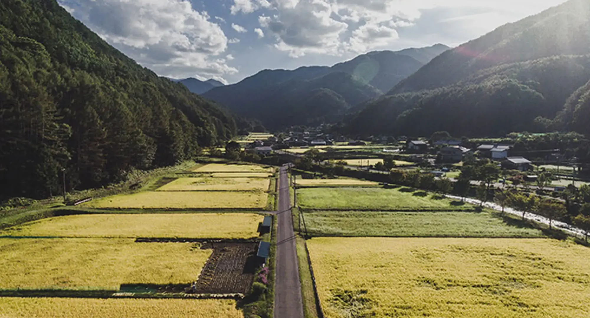 Fields surrounded by mountains