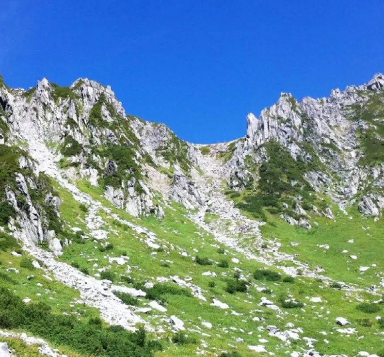 The lush greenery of Mount Kisokomagatake