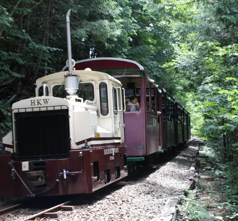 The Akasawa Forest Railway