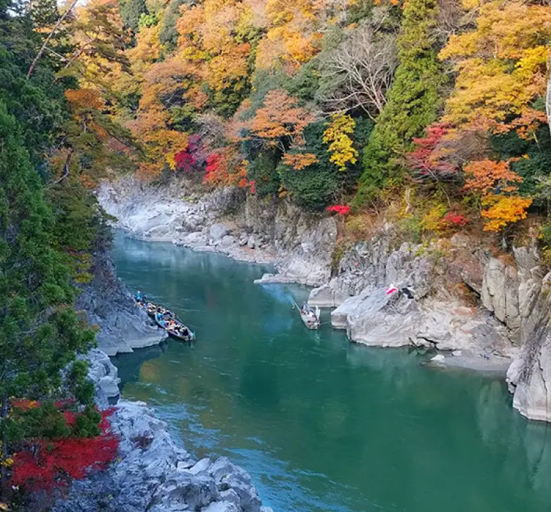 River rafting through trees with vibrant autumn foliage