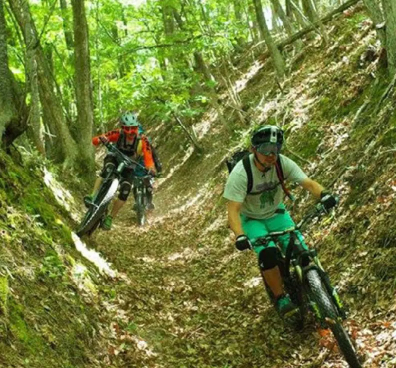 Experiencing mountain biking in the mountains