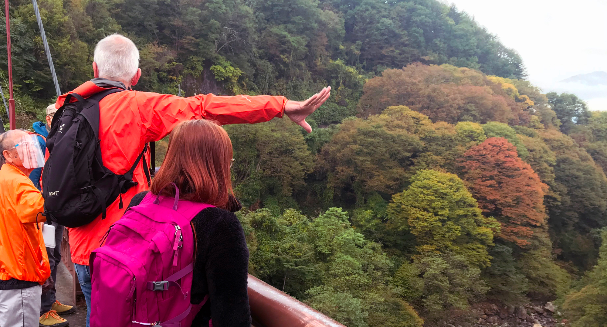 A tour group standing on a bridge overlooking a lush, forested valley with trees displaying autumn colors while a guide gestures towards the landscape.
