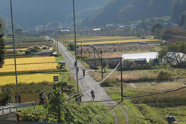 A scenic countryside road with rice fields on both sides, a few cyclists enjoying a peaceful ride under a clear sky.