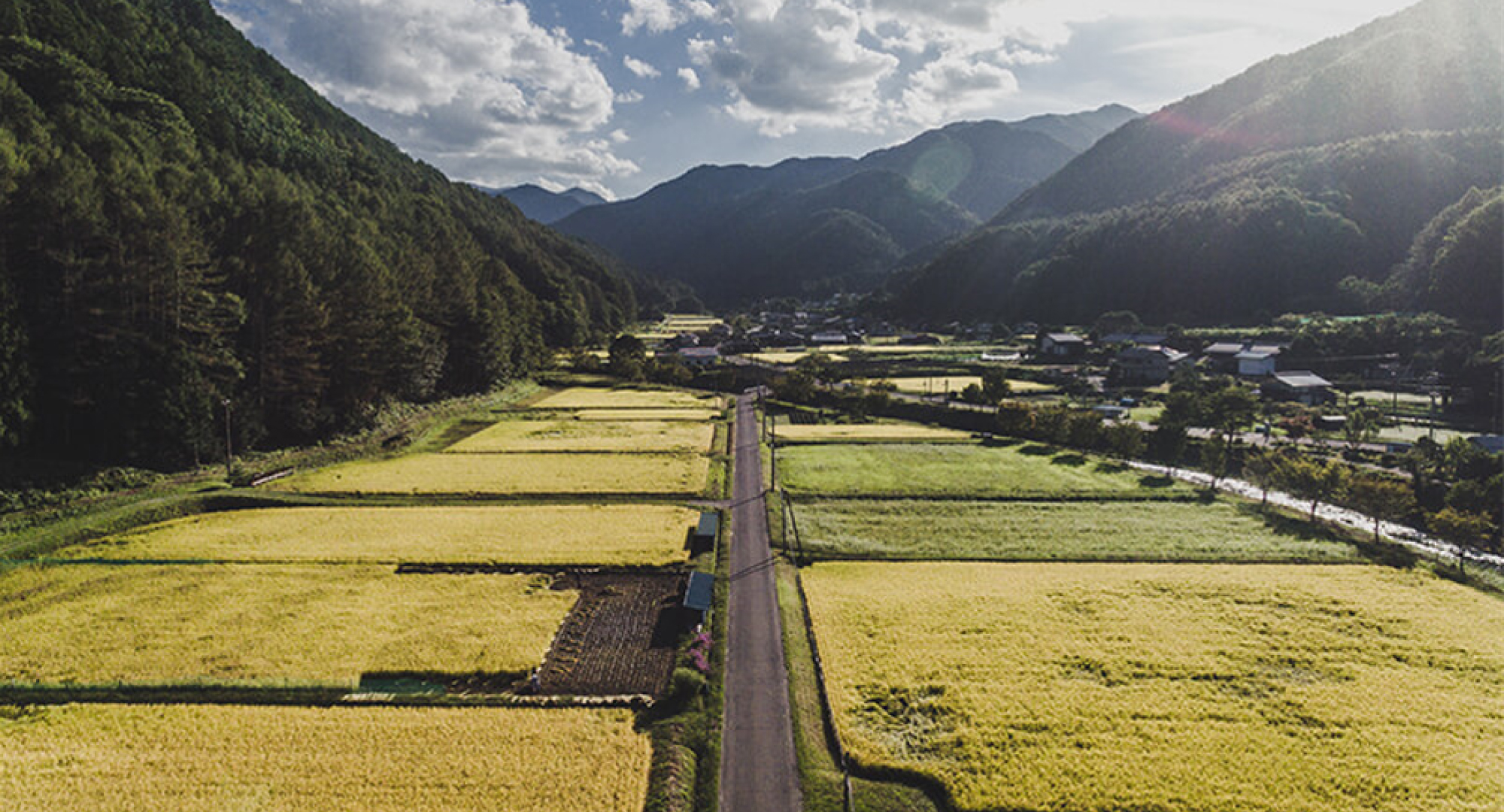 A picturesque rural landscape with golden rice fields, traditional houses, and towering mountains in the background, illuminated by the afternoon sun.
