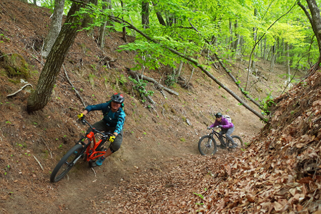 A group of cyclists navigate a winding dirt trail in a dense green forest, speeding down the path on mountain bikes.