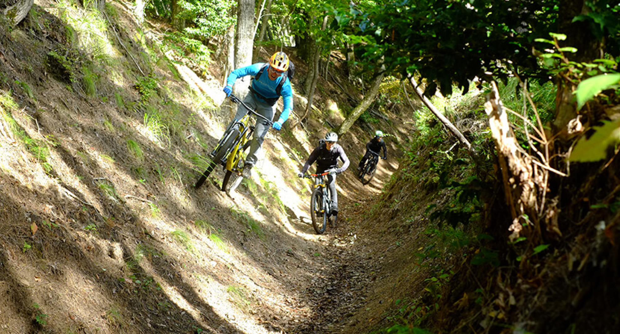 Three mountain bikers ride through a rugged downhill trail, maneuvering between trees in a forested area.