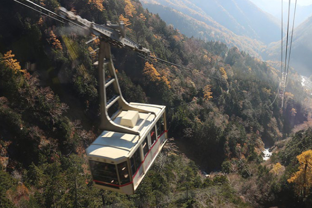 A cable car suspended high above a deep valley, providing a scenic view of the surrounding mountains covered in autumn foliage.