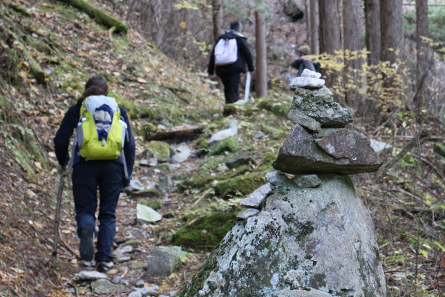A group of hikers trekking along a rugged forest trail, passing by a carefully stacked stone cairn.