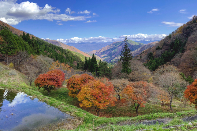 A breathtaking autumn landscape with colorful red and orange foliage, overlooking a vast mountain valley under a clear blue sky.