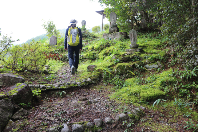 A hiker walking along a moss-covered trail lined with ancient stone statues in a serene mountain setting."