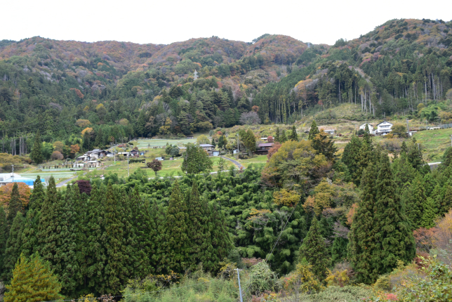 A picturesque rural landscape with rolling hills, dense forests, and scattered houses, capturing the beauty of Japan's countryside.