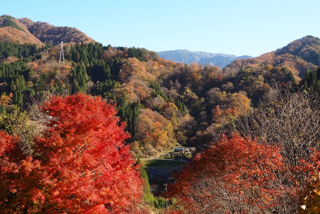 A breathtaking mountain landscape with vibrant red autumn leaves in the foreground, contrasting against the green forests and blue sky.